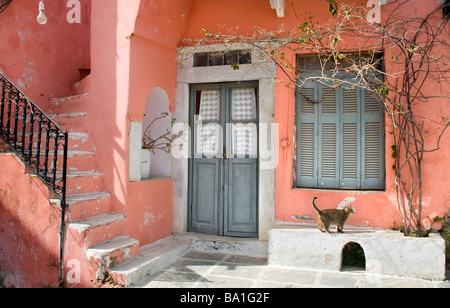 Casa Rosa e un gatto nel villaggio di Chalki. Isola di Naxos, Cicladi, il Mare Egeo. La Grecia Foto Stock