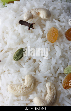 Kaju Kismis Pulao è un tradizionale bengalese riso preparato ricco con una sfumatura di dolcezza noci di acagiù uvetta Foto Stock