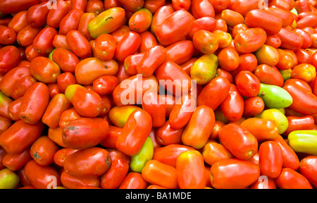 Pila di colore rosso e verde pomodori Solanum lycopersicum su un mercato a Saint Denis La Réunion | Rote und Grüne Tomten, Markt Foto Stock