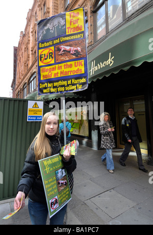 Anti fur sales protester fuori magazzini Harrods, Londra , Inghilterra, Regno Unito Foto Stock