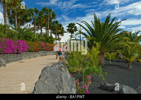 Colorate buganvillee promenade allineata e palme con scuotipaglia, Playa Blanca Lanzarote isole Canarie Spagna Foto Stock