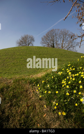 Navan Fort età del bronzo lavori di sterro nella contea di Armagh nell'Irlanda del Nord Regno Unito Foto Stock