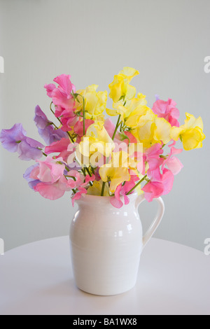 Fiori colorati in vaso sulla sedia Foto Stock