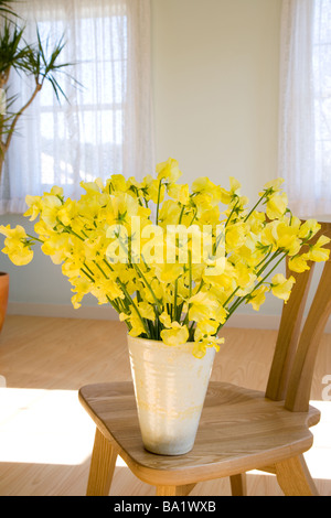 Fiore giallo vaso sulla sedia Foto Stock