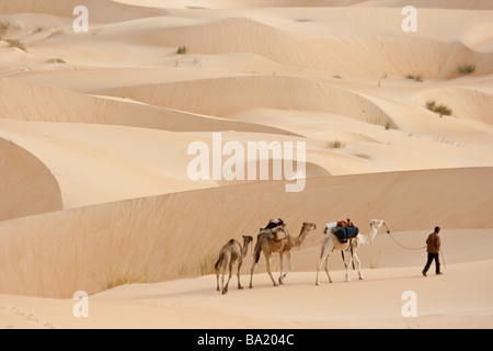 Leader di cammelli nel deserto Saraha vicino a Chinguetti in Mauritania Foto Stock