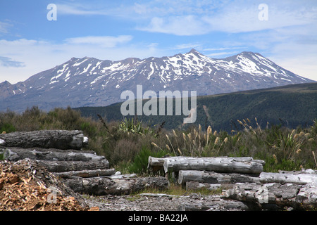 Mount Ruapahu dal treno overlander a parco nazionale staion nuova zelanda Foto Stock