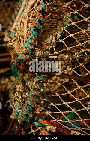 Close up di verde e di blu di colore arancio stringa vincolante su pentole di aragosta Lyme Regis Dorset Foto Stock