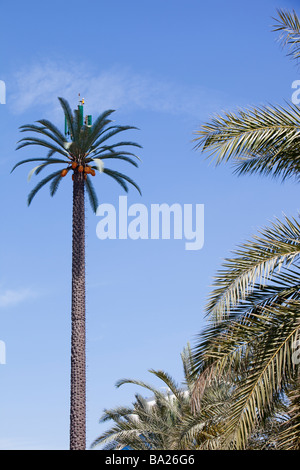 Un telefono cellulare mast fatto per assomigliare ad un albero di Palma di Dubai Foto Stock