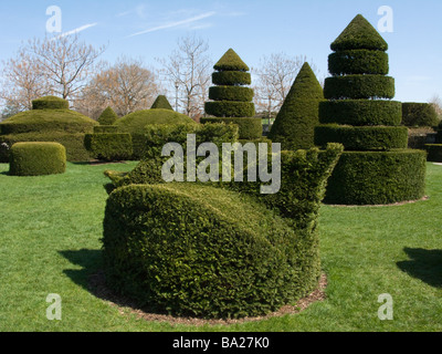 Topiaria da giardino botanico Longwood Gardens Kennett Square CHESTER COUNTY PENNSYLVANIA USA Foto Stock