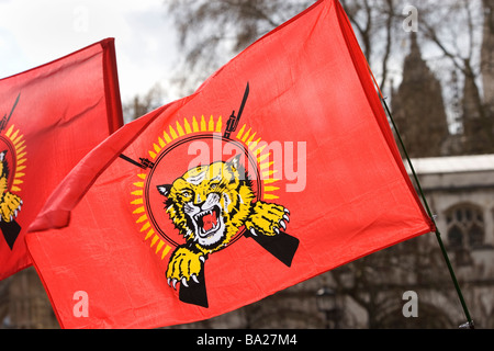 Gli abitanti dello Sri Lanka protesta in piazza del Parlamento dimostrando contro il loro governo s azioni in Sri Lanka Foto Stock