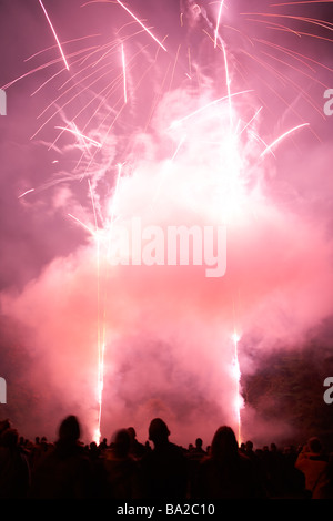 Fuochi d'artificio di notte Foto Stock