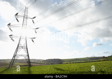 Tralicci di energia elettrica in un Paddock Foto Stock