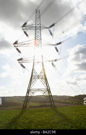 Tralicci di energia elettrica in un Paddock Foto Stock