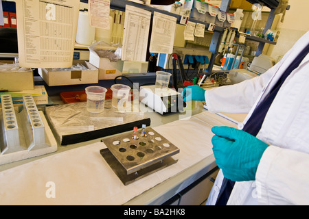 Analisi di laboratorio di acqua acqua impianto di depurazione azionati da Olgiate Olona Varese Sogiva ambiente spa Foto Stock