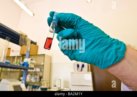 Analisi di laboratorio di acqua acqua impianto di depurazione azionati da Olgiate Olona Varese Sogiva ambiente spa Foto Stock