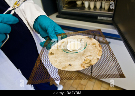 Analisi di laboratorio di acqua acqua impianto di depurazione azionati da Olgiate Olona Varese Sogiva ambiente spa Foto Stock