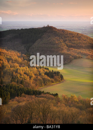 Vista verso la collina del cofano e la valle di York da Sutton Bank al tramonto, North York Moors National Park North Yorkshire Regno Unito Foto Stock