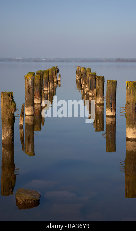 Vecchio rovinato abbandonato jetty stantions principali off in Lough Neagh nella contea di Armagh nell'Irlanda del nord Foto Stock