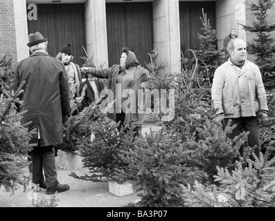 Negli anni settanta, foto in bianco e nero, Natale, vendita di alberi di Natale in una zona pedonale, i produttori, di età compresa tra i 50 e i 60 anni Foto Stock