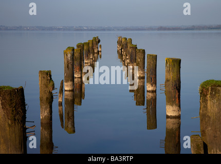 Vecchio rovinato abbandonato jetty stantions principali off in Lough Neagh nella contea di Armagh nell'Irlanda del nord Foto Stock