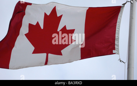 Bandiera canadese soffiando nel vento Foto Stock