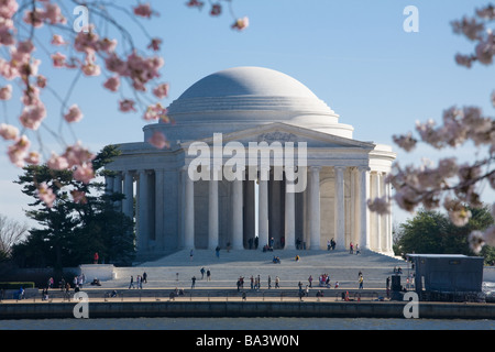 Jefferson Memorial, Washington, DC, con fiori di ciliegio. Foto Stock