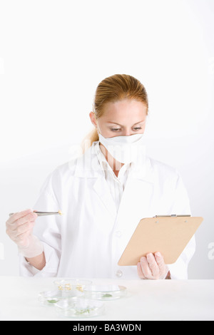 Donne scienziato che lavora con piantina Foto Stock