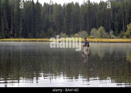 Pescatore di pesca a mosca nel fiume Snake nella nebbia nel Parco Nazionale di Grand Teton America del Nord Foto Stock