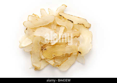 Tall Gastrodia tuberi contro uno sfondo bianco Foto Stock