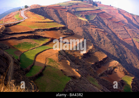Cina Yunnan Dongchuan rosso della terra Foto Stock