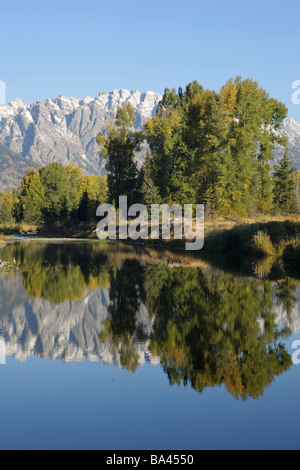 Schwabachers atterraggio con una riflessione completa del Grand Teton Mountain Range e gli alberi in acqua Foto Stock