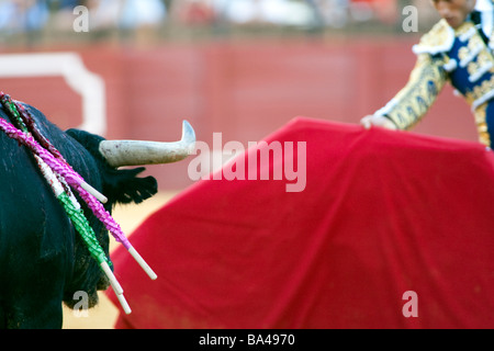 Il torero spagnolo Fernandez Pineda Real Maestranza bullring Siviglia comunità autonoma di Andalusia Spagna meridionale Foto Stock