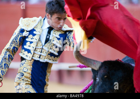 Il torero spagnolo Fernandez Pineda Real Maestranza bullring Siviglia comunità autonoma di Andalusia Spagna meridionale Foto Stock