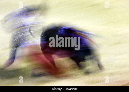 La corrida azione a rallentare la velocità dello shutter Real Maestranza bullring, Siviglia Foto Stock