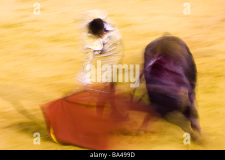 La corrida azione a rallentare la velocità dello shutter Real Maestranza bullring, Siviglia Foto Stock