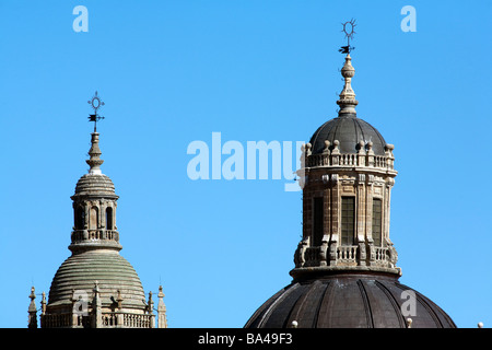 Dettaglio del clero chiesa duomo e il campanile a torre città di Salamanca comunità autonoma di Castiglia e Leon Spagna Foto Stock