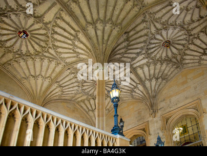 Oxford, Inghilterra, Regno Unito. Christ Church College. Ventilatore soffitto a volta (1638) al di sopra della scala Foto Stock