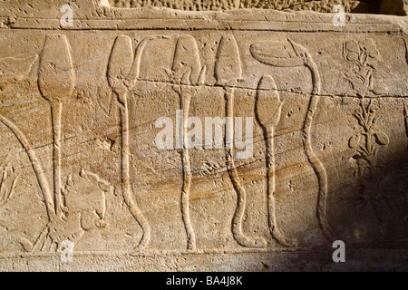 Rilievi dalle pareti del Giardino Botanico di Tuthmosis al Festival Hall, Akh-Menou, Tempio di Karnak Luxor Egitto Foto Stock