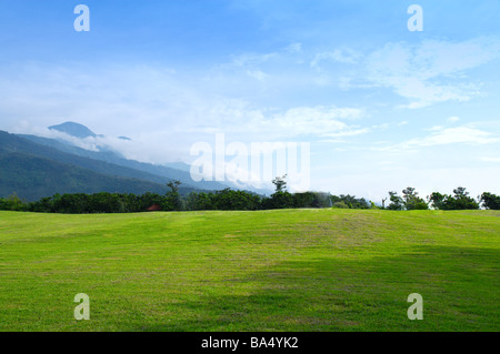 Campo verde con alberi e le montagne sullo sfondo Foto Stock