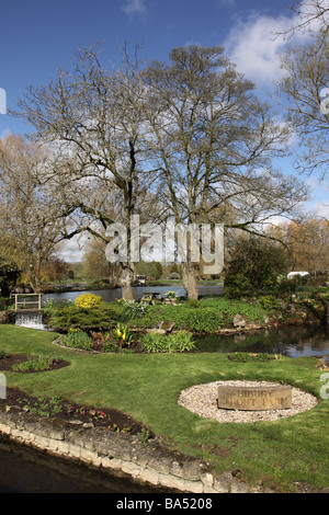 Bibury Trout Farm nel villaggio Cotswold di Bibury, Cotswolds, Gloucestersire, Inghilterra Foto Stock