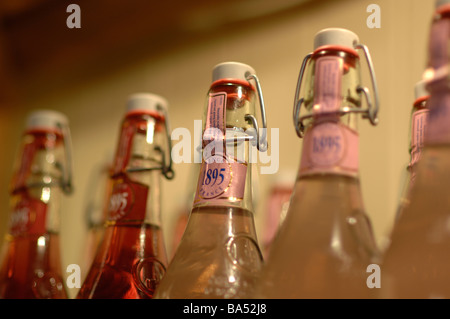 Il francese le bottiglie di vino Foto Stock