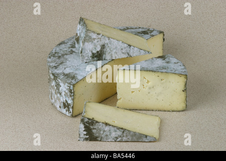 Cornish Yarg formaggio Foto Stock