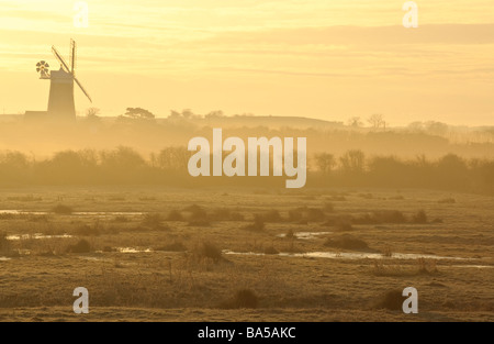 Alba sul pascolo di paludi a Holkham Riserva Naturale Nazionale in Norfolk guardando verso Burnham Overy Staithe mulino a vento. Foto Stock