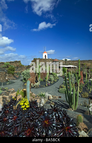 Jardin de Cactus, il giardino dei cactus con mulino a vento a Guatiza, Lanzarote isole Canarie Spagna Foto Stock