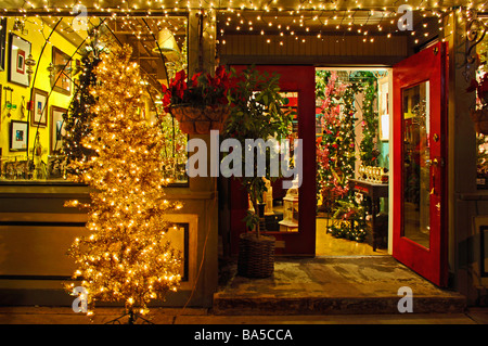 Parte anteriore del negozio, negozio di vendita al dettaglio con il portello di albero di Natale e molteplici luci di Natale Foto Stock