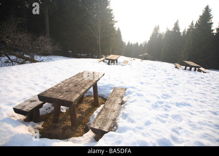 Germania Sassonia Anhalt Sassonia Sassonia-Anhalt Montagne Harz Nationalpark Parco Nazionale di Harz Foto Stock