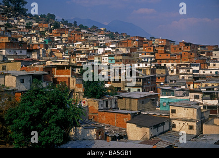 Baraccopoli, baraccopoli, costruito lungo la collina, barrio eucalipto, eucalipto barrio, città di Caracas, Caracas, Distretto Capitale, Venezuela, SUD AMERICA Foto Stock