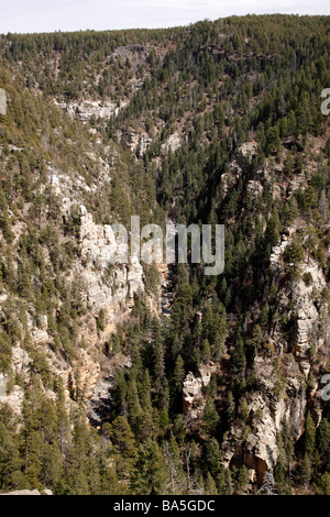 Vista di Oak Creek Canyon dall'area di visualizzazione sull'autostrada 89a entro la Coconino National Forest vicino a Sedona in Arizona usa Foto Stock