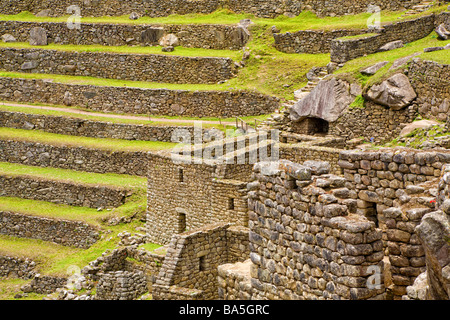 Terrazze e rovine di antiche città Inca di Machu Picchu Foto Stock