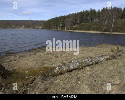 Pityoulish loch vicino a Grafton Highlands della Scozia Foto Stock